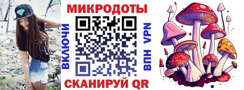 Купить где  Пустошка  Галлюциногенные грибы Psilocybine cubensis 